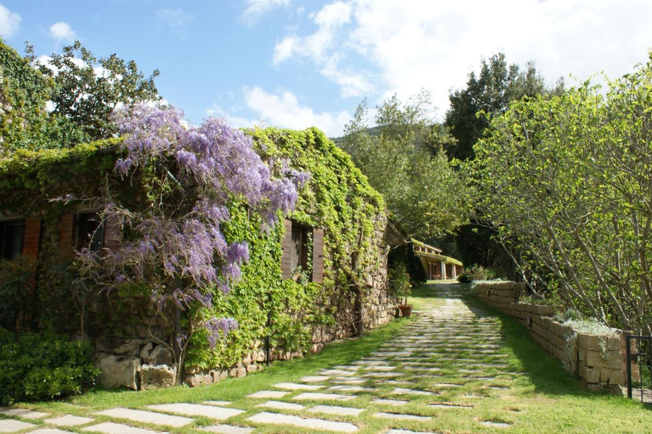 L'Agnata Di De Andre Boutique Hotel 템피오파우사니아 외부 사진